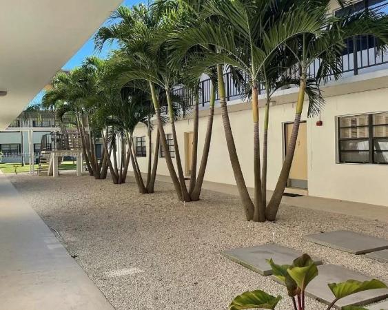 Sunrise Point, 8267 SW 128 St #114, Pinecrest, Florida 33156, image 3