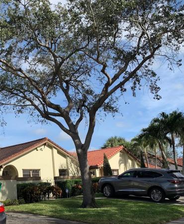 The Moors Townhouses, 17818 NW 66th Ct Cir, Hialeah, Florida 33015, image 3