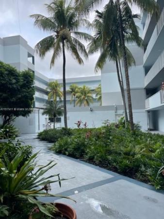 Azul At Fontainebleau, 8251 NW 8th St #412, Fountainebleau, Florida 33126, image 3