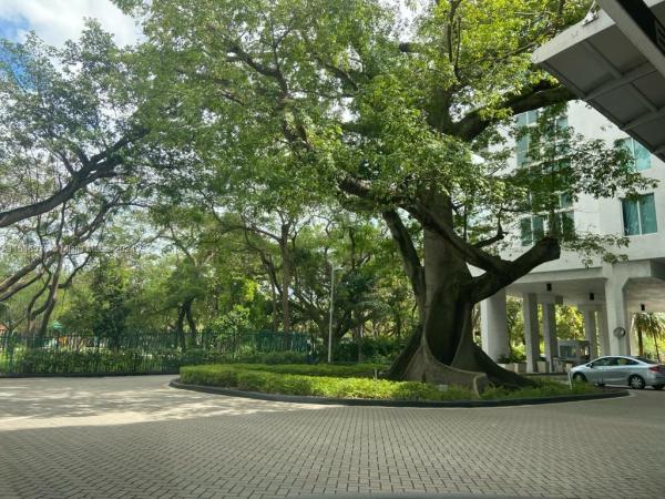 Terrazas Riverpark Village, 1861 NW S River Dr #1505, Miami, Florida 33125, image 2