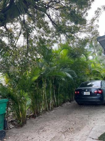 Edenholme Gardens, 870 NW 18th Pl, Miami, Florida 33125, image 2