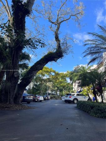 Provence Village In The Grove, 3041 Center St #4, Miami, Florida 33133, image 3