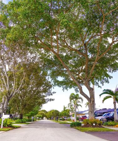 Hammocks Shores, 15420 SW 115th Ter, The Hammocks, Florida 33196, image 3