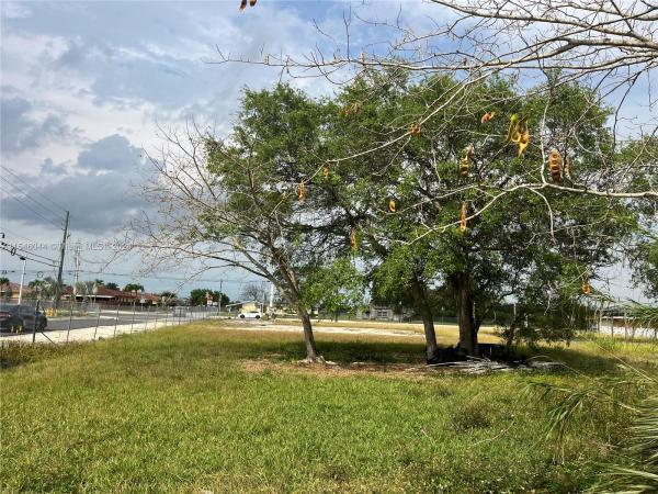 Flamingo Park, 123 Ave, Goulds, Florida 33170, image 2