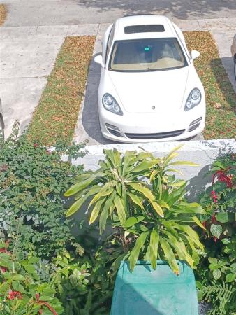 Wimbledon, 1825 NW 58th Ave #26, Lauderhill, Florida 33313, image 3