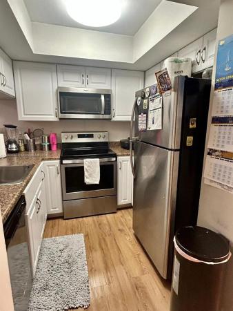 Kenland Walk, The Crossings, Florida 33186, image 3