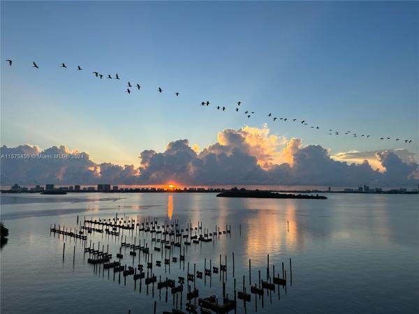 11113 Biscayne Blvd #657, Unincorporated Dade County, Florida 33181, image 2