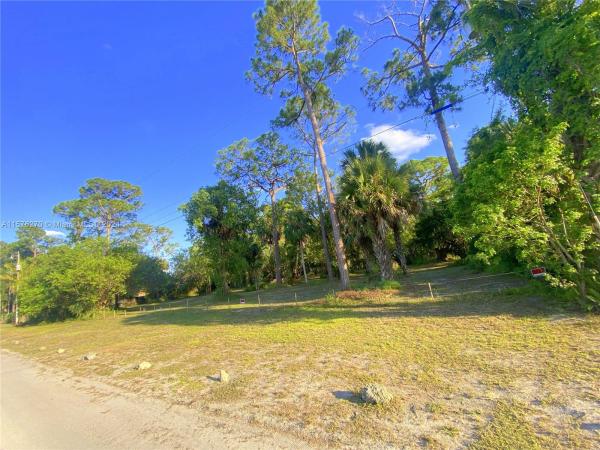 The Acreage, 17071 93rd Rd N, Loxahatchee, Florida 33470, image 2