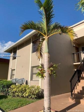 Banyan Tree, 9800 Hammocks Blvd #203-12, The Hammocks, Florida 33196, image 1