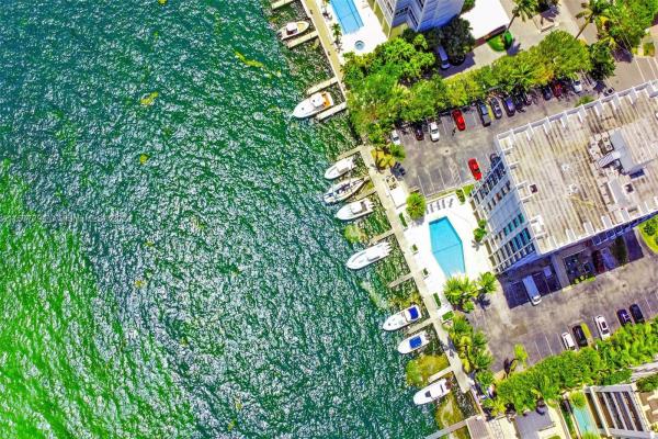 1600 South Bayshore Ln, 1600 S Bayshore Ln #5B, Miami, Florida 33133, image 1