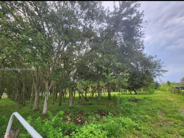 Rolling Oaks Estates, 18300 SW 50th Ct, Southwest Ranches, Florida 33331, image 3