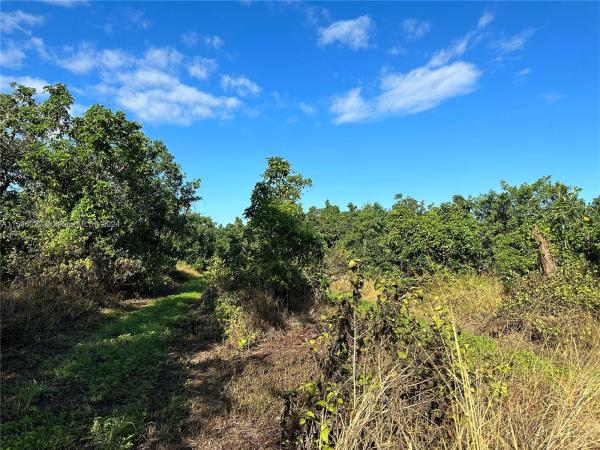 Redland No HOA, 23550 SW 154th Ave, Redland, Florida 33032, image 3