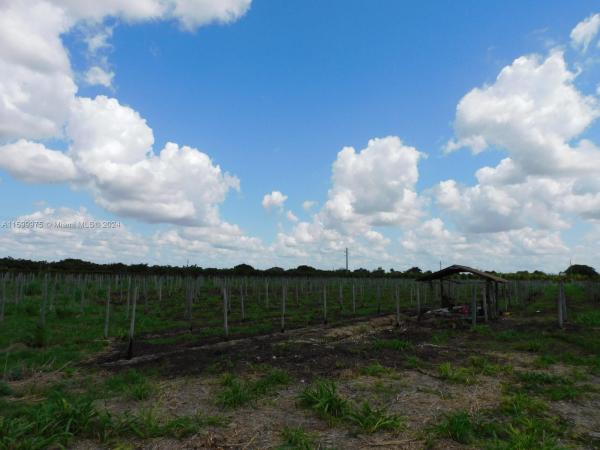 Redland No HOA, 20400 SW 203rd Ave, Redland, Florida 33187, image 1