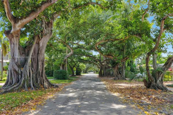 Coral Gables Residential, 1033 Almeria Ave, Coral Gables, Florida 33134, image 2