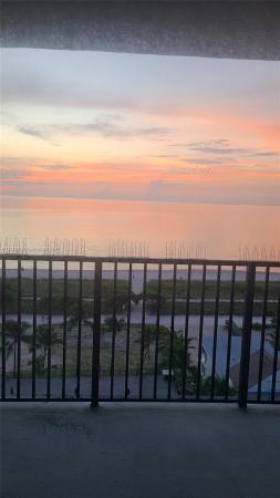 Manatee, 9273 Collins Ave #1012, Surfside, Florida 33154, image 1