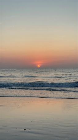Oasis Surfside, 320 Arthur St #17, Hollywood, Florida 33019, image 1