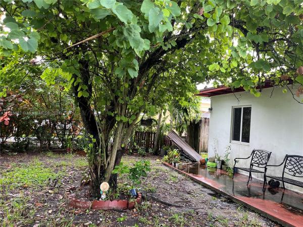 Sunkist Grove, 1330 NW 122nd St, North Miami, Florida 33167, image 1