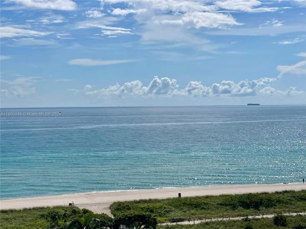 Manatee, 9273 Collins Ave #811, Surfside, Florida 33154, image 1