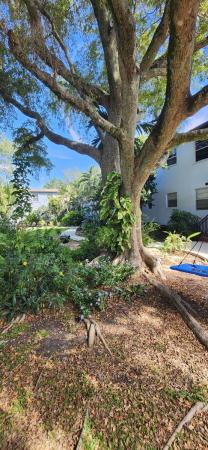 Pathways, 7840 SW 55th Ave #24D, South Miami, Florida 33143, image 1