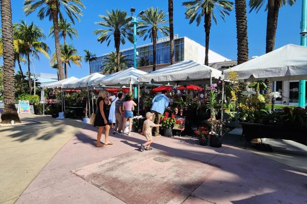 Lincoln Towers, 1300 Lincoln Rd #A701, Miami Beach, Florida 33139, image 1