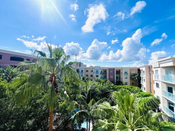 Valencia, 6001 SW 70th St #650, South Miami, Florida 33143, image 1