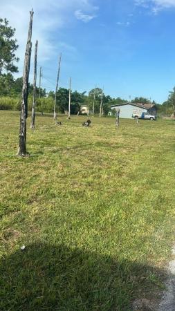 Goulds Estates, 11830 SW 225th St, Goulds, Florida 33170, image 1