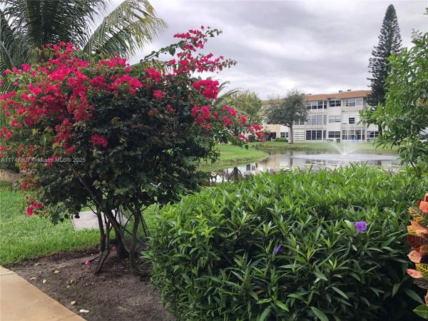 Orchid Gardens, 4806 NW 36th St #607, Lauderdale Lakes, Florida 33319, image 1