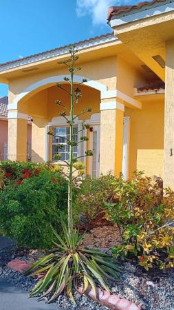 Coral Estates, 14551 SW 180th Ter, Richmond West, Florida 33177, image 1