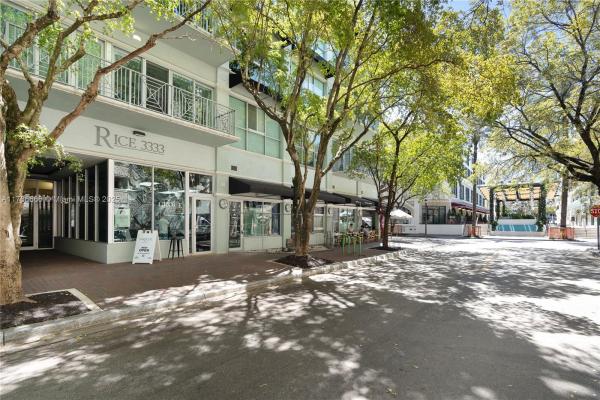Rice 3333, 3333 Rice St #202, Miami, Florida 33133, image 3