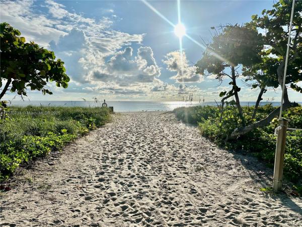 Manatee, 9273 Collins Ave #607, Surfside, Florida 33154, image 1