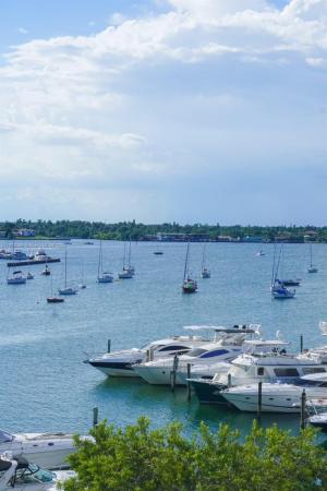 Bayshore Yacht & Tennis Club, 7904 West Dr #501, North Bay Village, Florida 33141, image 1