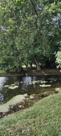 Weston Lakes 21, 440 Lakeview Dr #104, Weston, Florida 33326, image 1