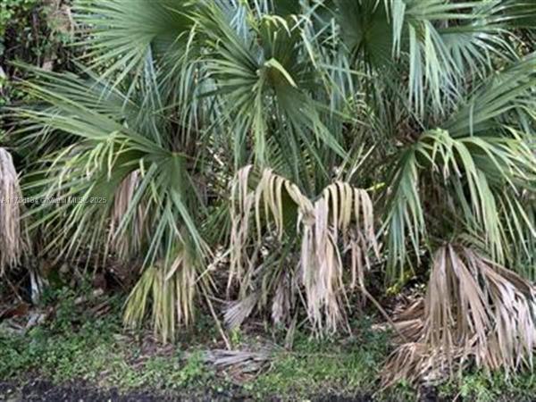 1019 SW Hamrock Ave, Port St. Lucie, Florida 34953, image 1