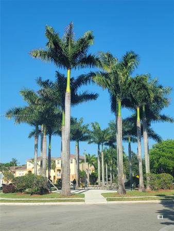 Fontainbleau Lakes Courtyards West, 10022 NW 7th St #210, Fountainebleau, Florida 33172, image 2