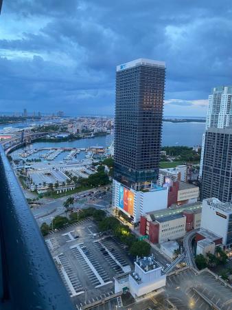 Natiivo Miami, 159 NE 6th St #3507, Miami, Florida 33132, image 1