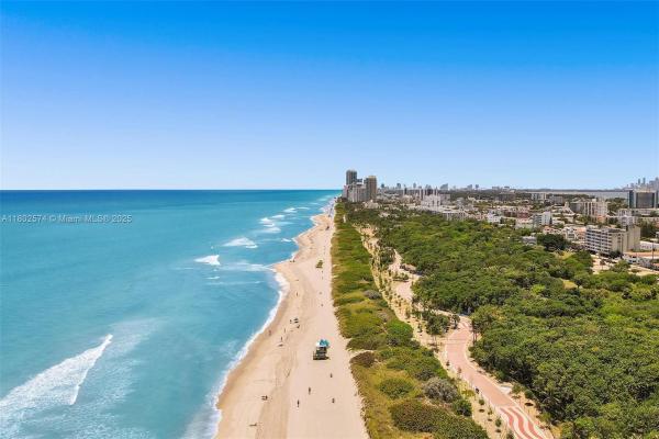 Atlantic Rose, 8816 Collins Ave #205, Surfside, Florida 33154, image 1