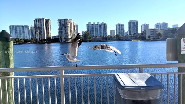 Del Prado, 18011 Biscayne Blvd #803, Aventura, Florida 33160, image 1