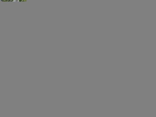 Bellaire, 27 NE 49th St, Miami, Florida 33137, image 1