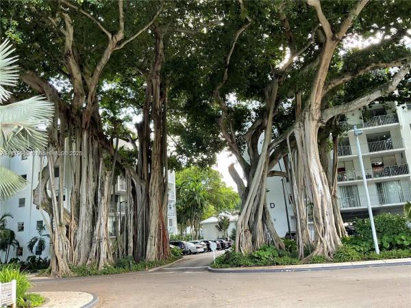 Nirvana, 750 NE 64th St #B400, Miami, Florida 33138, image 1