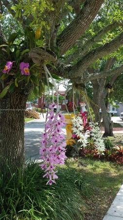 15640 SW 98th St, Miami, Florida 33196, image 1