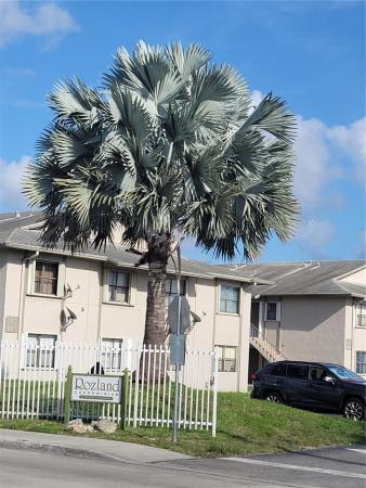 Rozland, 15354 SW 72nd St #31-22, Kendall West, Florida 33193, image 1
