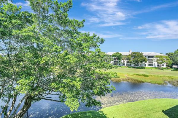 Pine Island Ridge, 9311 Orange Grove Dr #409, Davie, Florida 33324, image 3