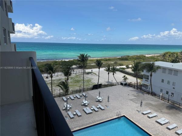 Manatee, 9273 Collins Ave #503, Surfside, Florida 33154, image 1