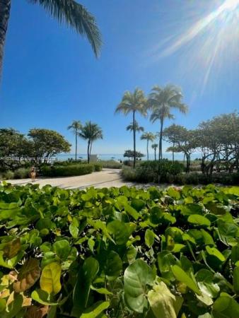 Harbour House, 10275 Collins Ave #201, Bal Harbour, Florida 33154, image 1
