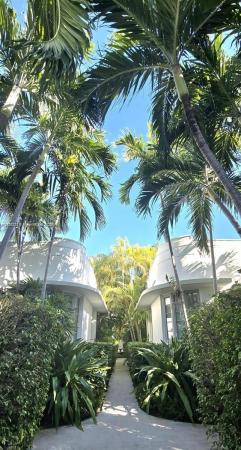 Mangrove House, 727 Jefferson Ave #4, Miami Beach, Florida 33139, image 1