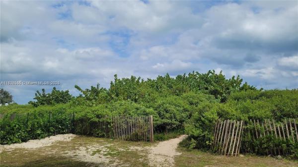 Ocean Walk On South Beach, 335 Ocean Dr #131, Miami Beach, Florida 33139, image 3
