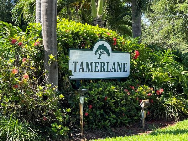 Tamerlane, 3327 Oak Dr, Hollywood, Florida 33021, image 2