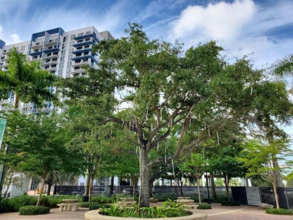5350 Park At Downtown Doral, 5350 NW 84th Ave #1701, Doral, Florida 33166, image 2