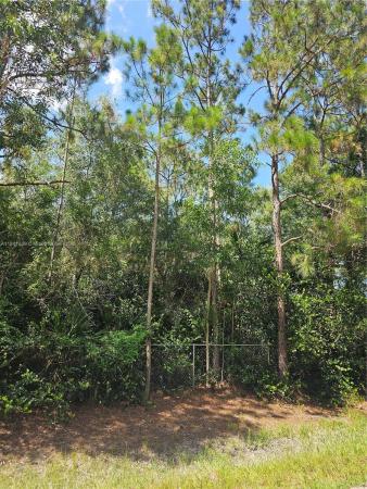 The Acreage, xxxx N 63rd Lane N, West Palm Beach, Florida 33412, image 3