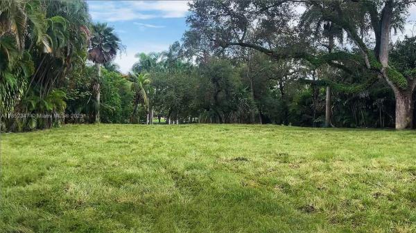 Rock Reef, 3231 Calusa St, Miami, Florida 33133, image 1
